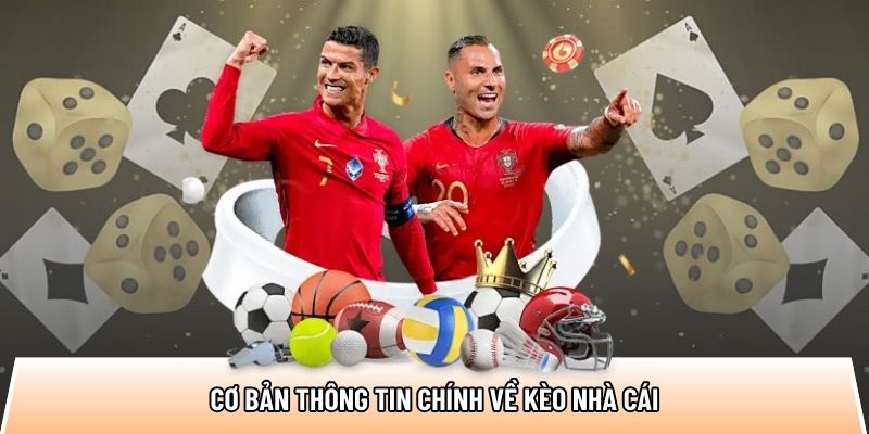 Basic information about bookmaker odds