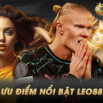 Leo88 Casino: Cổng Trò Chơi Đẳng Cấp Với Đầy Đủ Các Tính Năng