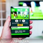 Tải App Dwin – Cá Cược Và Giải Trí Ngay Cả Khi Di Chuyển